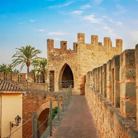 Holiday home - 38363 Mallorca Alcudia (Mallorca)
