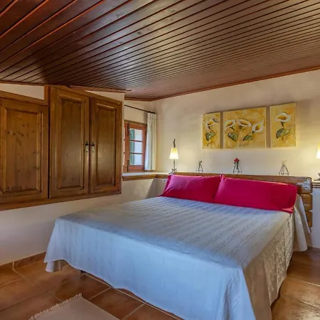 - 38363 Mallorca Alcudia (Mallorca)